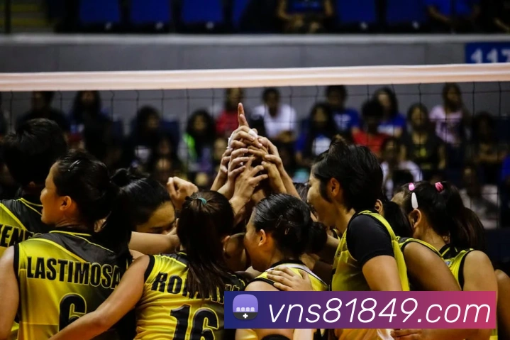 App Interface Preview